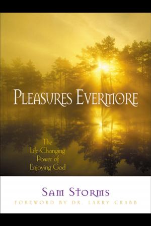 Cover of the book Pleasures Evermore by Michael Card
