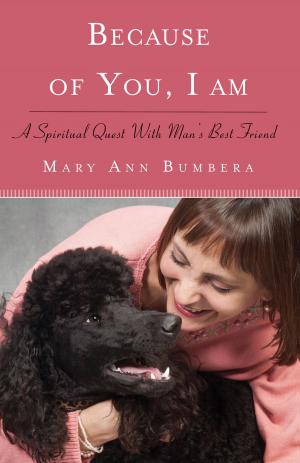 Cover of the book Because of You, I Am by Anna Sabino