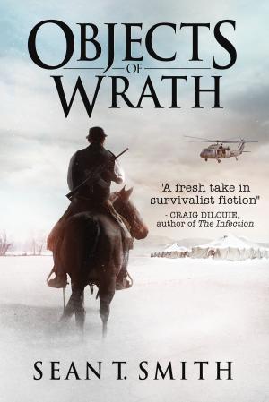Cover of the book Objects of Wrath by Briar Lee Mitchell