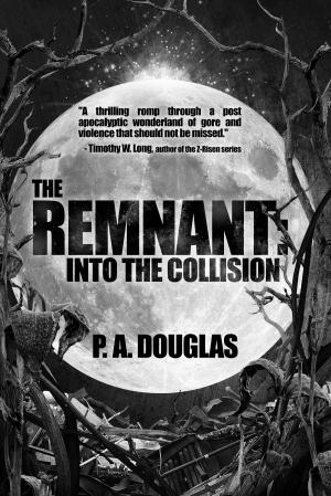 bigCover of the book The Remnant: Into the Collision by 