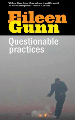 Cover of the book Questionable Practices by Sarah Smith