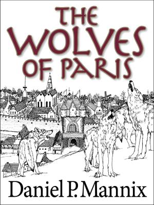 Cover of the book The Wolves of Paris by G. E. Nolly