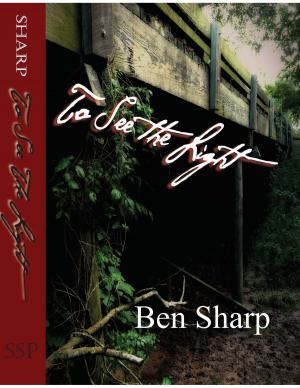 Cover of the book To See the Light by Dr Joe Allbright