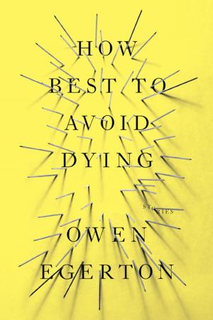 Cover of the book How Best To Avoid Dying by Simon Reynolds