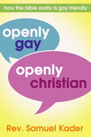 Cover of Openly Gay, Openly Christian