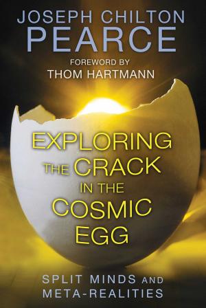 Book cover of Exploring the Crack in the Cosmic Egg