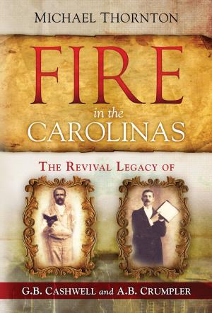 Cover of the book Fire in the Carolinas by Freddy Vest