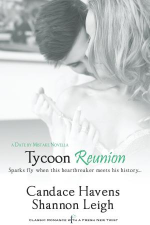 Cover of the book Tycoon Reunion by Tiffany Allee