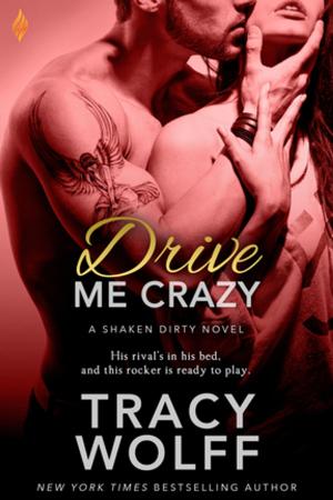 Cover of the book Drive Me Crazy by Nina Croft