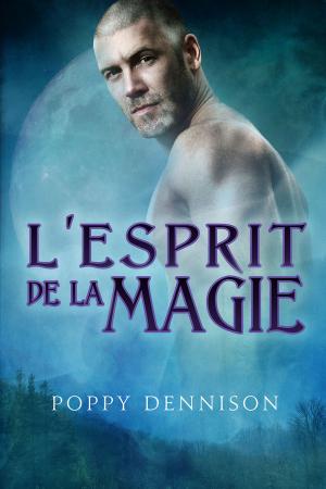 Cover of the book L’esprit de la magie by Dave Rudden