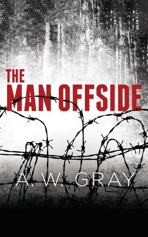 bigCover of the book The Man Offside by 