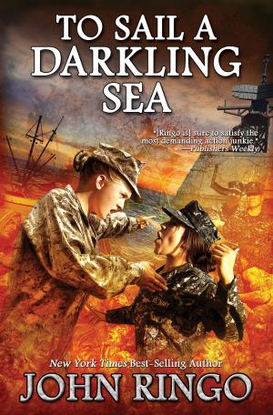 Cover of the book To Sail a Darkling Sea by David Drake
