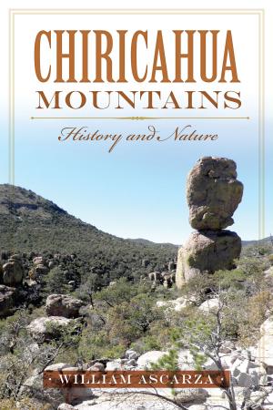 bigCover of the book Chiricahua Mountains by 