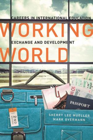 Cover of the book Working World by Thomas A. Shannon, Charles N. Faso