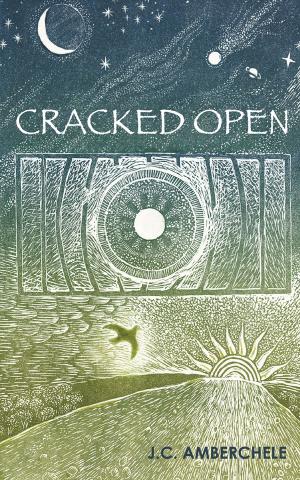 bigCover of the book Cracked Open by 