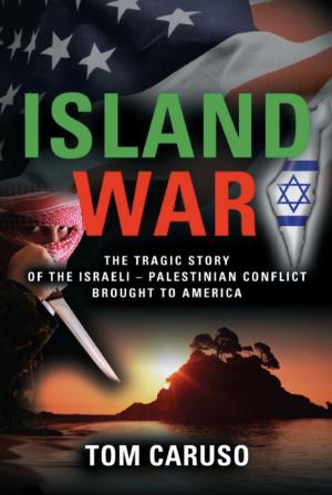 Cover of the book Island War by Daniel J. Quinley
