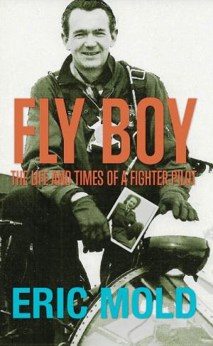Book cover of Fly Boy