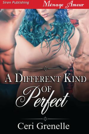 Cover of the book A Different Kind of Perfect by Tiger Lily, Tabitha Levin