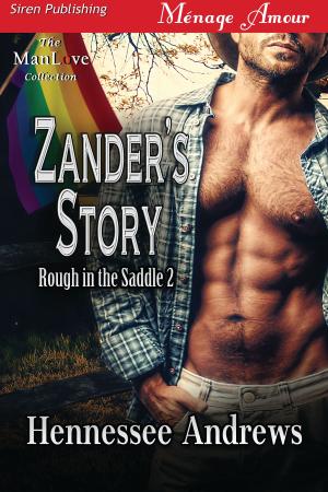 Cover of the book Zander's Story by Jordan Ashley
