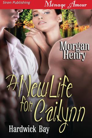 Cover of the book A New Life for Cailynn by Tymber Dalton