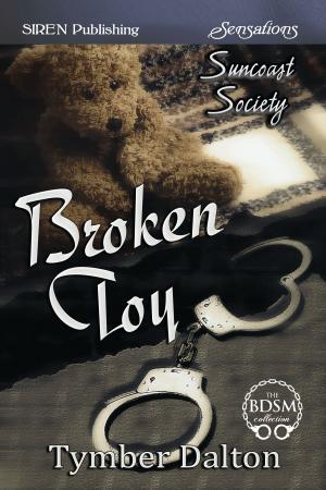 Cover of the book Broken Toy by Scarlet Hyacinth