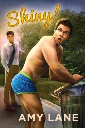 Cover of the book Shiny! by Colleen Connally