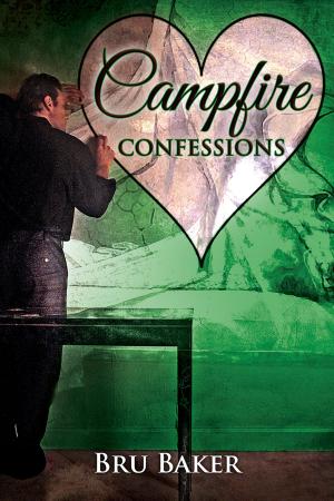 Cover of the book Campfire Confessions by Lane Hayes