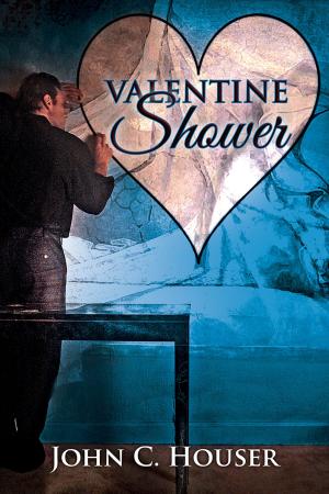 Cover of the book Valentine Shower by Pat Henshaw