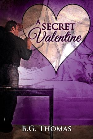 Cover of the book A Secret Valentine by Hayley B. James