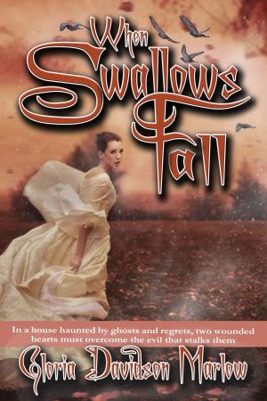 bigCover of the book When Swallows Fall by 