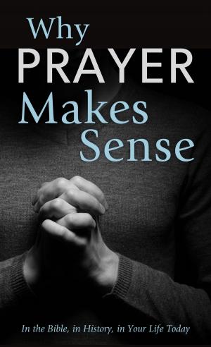 Cover of the book Why Prayer Makes Sense by Bekah Jane Pogue