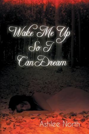 Book cover of Wake Me Up So I Can Dream