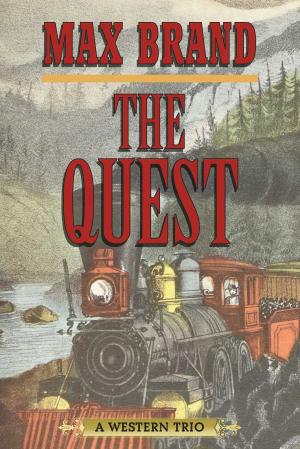 Cover of the book The Quest by Michael Zimmer