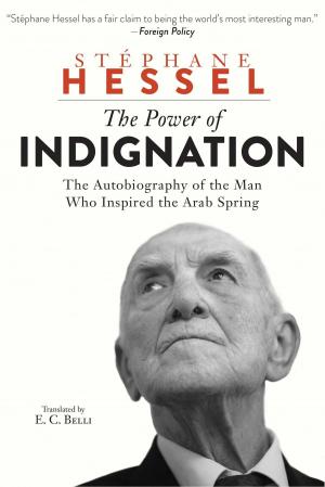 Cover of the book The Power of Indignation by Walter Kaweski