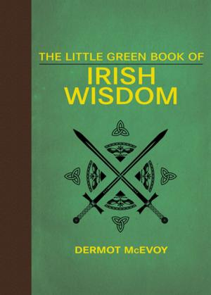Cover of the book The Little Green Book of Irish Wisdom by Gary Buffalo Horn Man, Sherry Firedancer