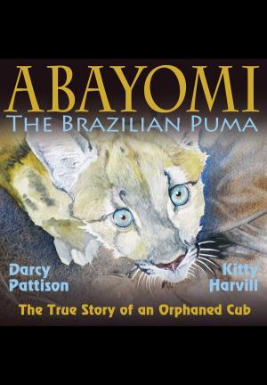 Book cover of Abayomi, the Brazilian Puma