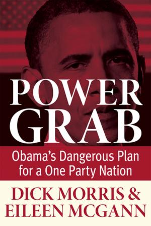 Cover of the book Power Grab by Robert  Thomas Winn