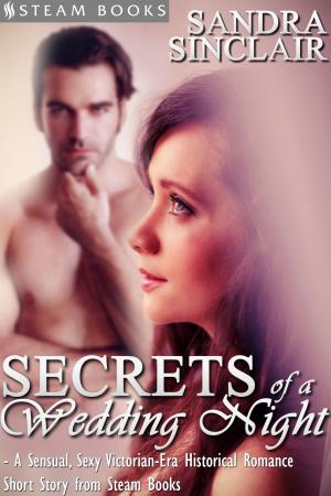 Cover of Secrets of a Wedding Night - A Sensual, Sexy Victorian-Era Historical Romance Short Story from Steam Books