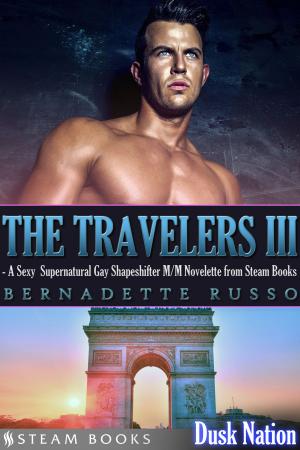 Book cover of The Travelers III - A Sexy Supernatural Gay Shapeshifter M/M Novelette from Steam Books