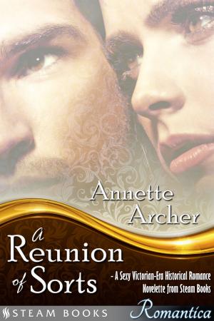 bigCover of the book A Reunion of Sorts - A Sexy Victorian-Era Historical Romance Novelette from Steam Books by 