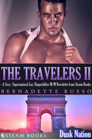 Cover of The Travelers II - A Sexy Supernatural Gay Shapeshifter M/M Novelette from Steam Books