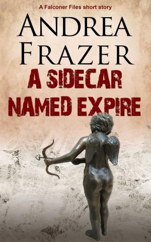 Cover of the book A Sidecar Named Expire by Sommer Marsden