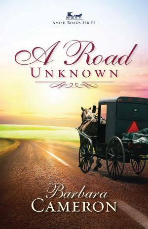 Cover of the book A Road Unknown by Krista Phillips