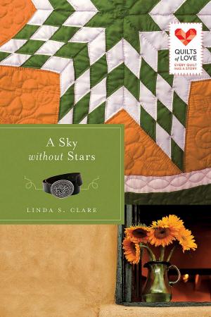 Cover of the book A Sky Without Stars by Barbara Cameron