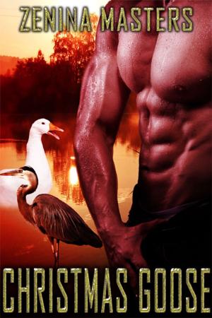 Cover of the book Christmas Goose by Caitlin Ricci, A.J. Marcus
