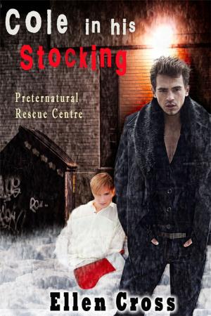Cover of the book Cole in His Stocking by Seelie Kay