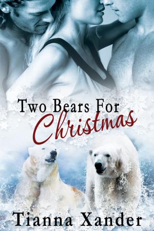 Cover of the book Two Bears for Christmas by A.C. Ellas