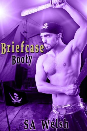 Cover of the book Briefcase Booty by Wayne Greenough