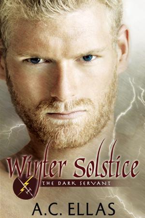 Cover of the book Winter Solstice by Jeremy Dickson