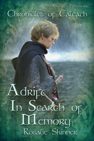 Cover of the book Adrift: In Search of Memory by Melissa Bitter
